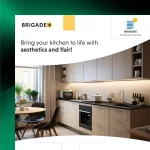 Brigade Plus <em>Social Media</em>