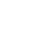 Multiplier