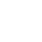 Allegis